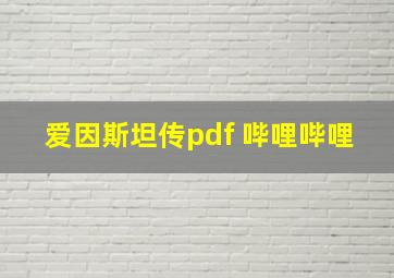 爱因斯坦传pdf 哔哩哔哩